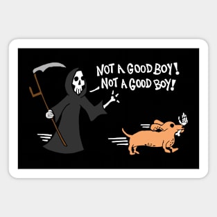 Dachshund Dog Stealing A Grim Reapers Bone Hand / Not A Good Boy (White) Magnet